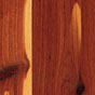 sample picture of cedar